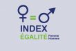 Index de l’égalité professionnelle 2023