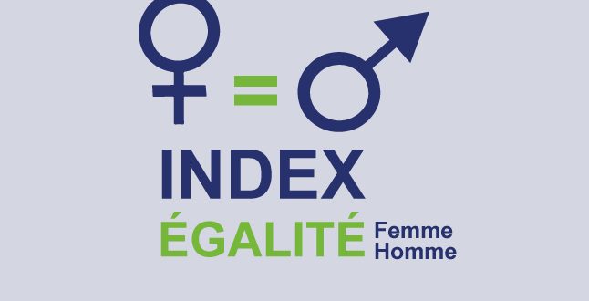 Index de l’égalité professionnelle 2024